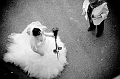 reportage-photo-mariage-IDF-048
